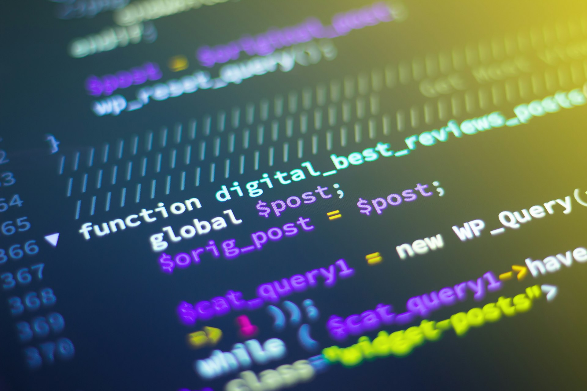 My11exch Software Development Services